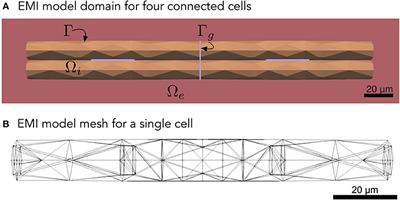 Deriving the Bidomain Model of Cardiac Electrophysiology From a Cell-Based Model; Properties and Comparisons